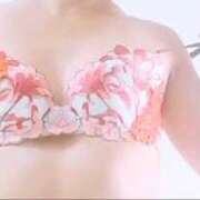 ヒメ日記 2025/10/13 14:12 投稿 つばき 大奥 梅田店