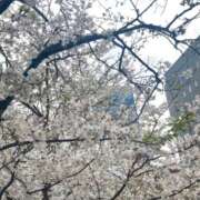 ヒメ日記 2025/03/28 18:25 投稿 あさひな 埼玉★出張マッサージ委員会Z