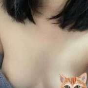 ヒメ日記 2024/12/18 13:23 投稿 たま ココリラ吉祥寺・調布店