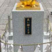 ヒメ日記 2025/01/29 12:47 投稿 たま ココリラ吉祥寺・調布店