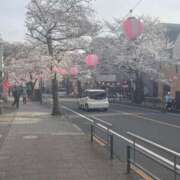 ヒメ日記 2025/04/06 12:29 投稿 たま ココリラ吉祥寺・調布店