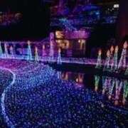 ヒメ日記 2025/02/25 12:48 投稿 たま 立川洗体風俗エステ ココリラ