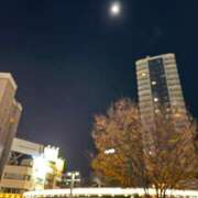 ヒメ日記 2024/12/15 21:36 投稿 由衣(ゆい) 人妻出逢い会 百合の園 品川店