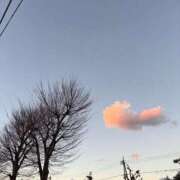 ヒメ日記 2024/12/31 16:56 投稿 由衣(ゆい) 人妻出逢い会 百合の園 品川店