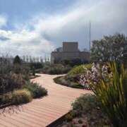 ヒメ日記 2025/03/17 23:26 投稿 由衣(ゆい) 人妻出逢い会 百合の園 品川店