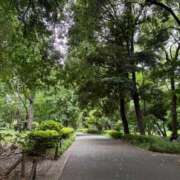 ヒメ日記 2025/05/24 10:06 投稿 由衣(ゆい) 人妻出逢い会 百合の園 品川店