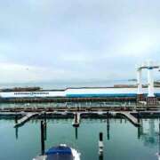 ヒメ日記 2025/10/03 12:46 投稿 由衣(ゆい) 人妻出逢い会 百合の園 品川店