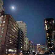 ヒメ日記 2026/01/31 19:26 投稿 由衣(ゆい) 人妻出逢い会 百合の園 品川店