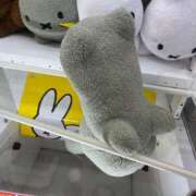 ヒメ日記 2024/12/26 08:54 投稿 かなめ 素人系イメージSOAP 彼女感 宇都宮本館