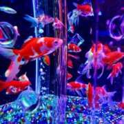 ヒメ日記 2025/02/23 11:22 投稿 唐沢なつみ 五十路マダム愛されたい熟女たち 福山店(カサブランカグループ)