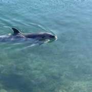 ヒメ日記 2025/02/24 09:56 投稿 唐沢なつみ 五十路マダム愛されたい熟女たち 福山店(カサブランカグループ)