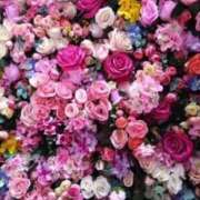 唐沢なつみ お礼です♪ 五十路マダム愛されたい熟女たち 福山店(カサブランカグループ)