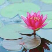 ヒメ日記 2025/07/28 21:18 投稿 ◆あさみ マダム錦糸町