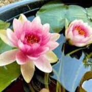 ヒメ日記 2025/07/28 21:27 投稿 ◆あさみ マダム錦糸町