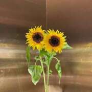 ヒメ日記 2025/08/06 21:22 投稿 ◆あさみ マダム錦糸町