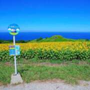 ヒメ日記 2025/08/07 21:07 投稿 ◆あさみ マダム錦糸町