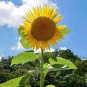 ヒメ日記 2025/08/11 20:08 投稿 ◆あさみ マダム錦糸町