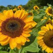 ヒメ日記 2025/08/18 20:23 投稿 ◆あさみ マダム錦糸町