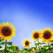 ヒメ日記 2025/08/20 21:12 投稿 ◆あさみ マダム錦糸町