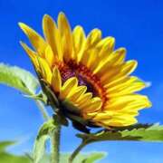 ヒメ日記 2025/08/22 21:28 投稿 ◆あさみ マダム錦糸町