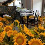 ヒメ日記 2025/08/27 20:51 投稿 ◆あさみ マダム錦糸町