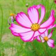 ヒメ日記 2025/09/04 19:59 投稿 ◆あさみ マダム錦糸町