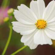 ヒメ日記 2025/09/07 20:12 投稿 ◆あさみ マダム錦糸町