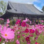 ヒメ日記 2025/09/09 21:16 投稿 ◆あさみ マダム錦糸町