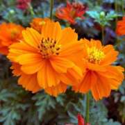 ヒメ日記 2025/09/12 20:50 投稿 ◆あさみ マダム錦糸町