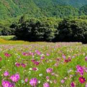 ヒメ日記 2025/09/15 20:01 投稿 ◆あさみ マダム錦糸町