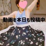 ヒメ日記 2025/09/16 09:31 投稿 ◆あさみ マダム錦糸町