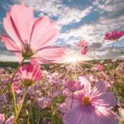 ヒメ日記 2025/09/22 21:32 投稿 ◆あさみ マダム錦糸町