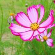 ヒメ日記 2025/09/22 22:19 投稿 ◆あさみ マダム錦糸町