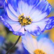 ヒメ日記 2025/09/23 20:31 投稿 ◆あさみ マダム錦糸町