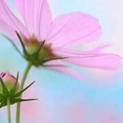 ヒメ日記 2025/09/23 20:46 投稿 ◆あさみ マダム錦糸町