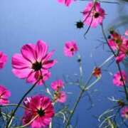 ヒメ日記 2025/09/24 20:24 投稿 ◆あさみ マダム錦糸町