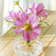 ヒメ日記 2025/09/24 20:36 投稿 ◆あさみ マダム錦糸町