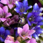 ヒメ日記 2025/10/24 21:13 投稿 ◆あさみ マダム錦糸町