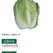 ヒメ日記 2025/10/28 07:56 投稿 ◆あさみ マダム錦糸町