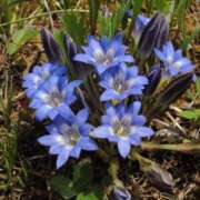 ヒメ日記 2025/10/29 21:14 投稿 ◆あさみ マダム錦糸町