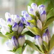 ヒメ日記 2025/10/30 20:50 投稿 ◆あさみ マダム錦糸町