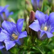 ヒメ日記 2025/10/31 19:56 投稿 ◆あさみ マダム錦糸町