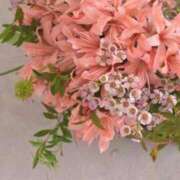 ヒメ日記 2025/11/06 20:20 投稿 ◆あさみ マダム錦糸町