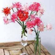 ヒメ日記 2025/11/07 20:42 投稿 ◆あさみ マダム錦糸町