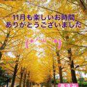 ヒメ日記 2025/11/30 16:56 投稿 ◆あさみ マダム錦糸町