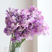 ヒメ日記 2026/01/05 21:09 投稿 ◆あさみ マダム錦糸町