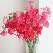 ヒメ日記 2026/01/06 21:00 投稿 ◆あさみ マダム錦糸町