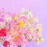 ヒメ日記 2026/01/08 20:35 投稿 ◆あさみ マダム錦糸町