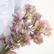 ヒメ日記 2026/01/15 20:33 投稿 ◆あさみ マダム錦糸町