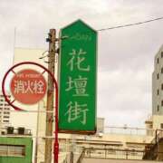 ヒメ日記 2026/01/20 13:50 投稿 ◆あさみ マダム錦糸町